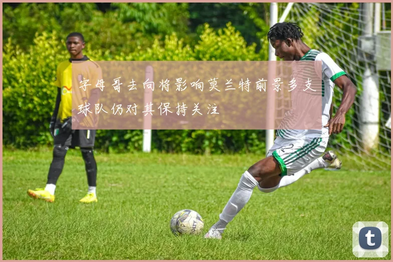 字母哥去向将影响莫兰特前景多支球队仍对其保持关注