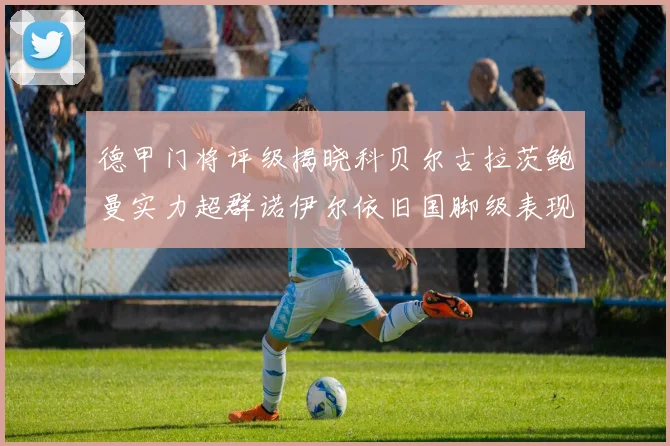 德甲门将评级揭晓科贝尔古拉茨鲍曼实力超群诺伊尔依旧国脚级表现引关注